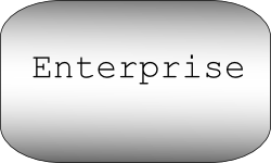 Enterprise