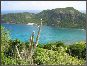 Black Button Decoration