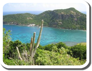 White Round Decoration