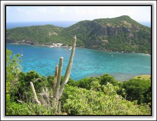 White Shadow Decoration