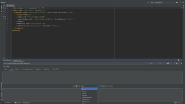 Screenshot of Applet Runner running in IntelliJ IDEA