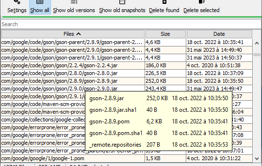 Screenshot of M2 Repo Cleaner